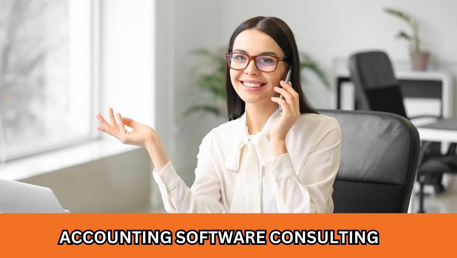 ERP Software Consulting