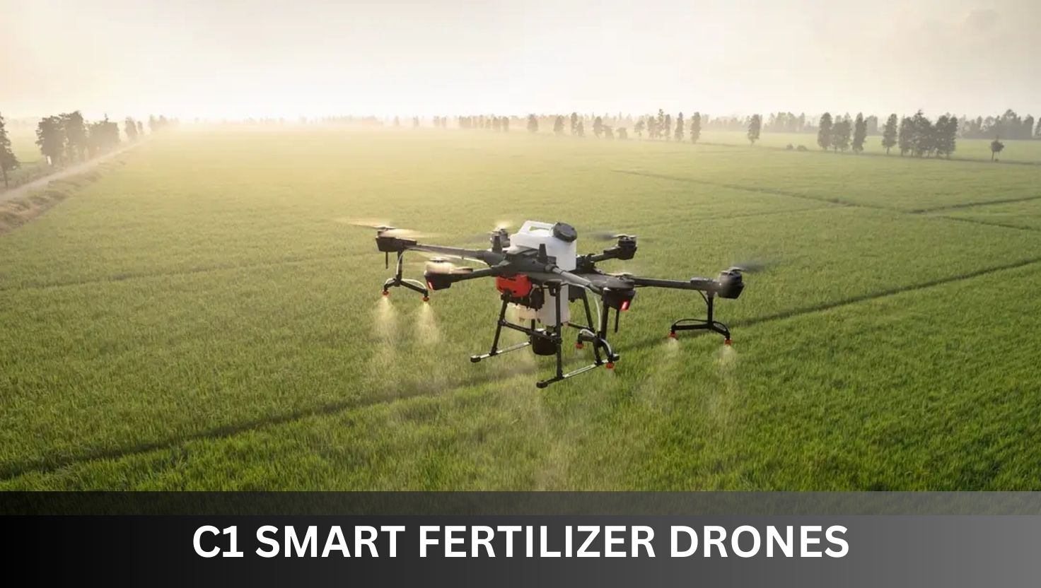 C1 Spraying Drones - Dubai, Abu Dhabi, Riyadh, Jeddah, Doha, Muscat, Mumbai, Delhi, Bengaluru, Chennai