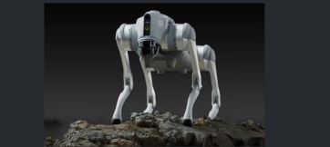 Quadruped Robots for Campus